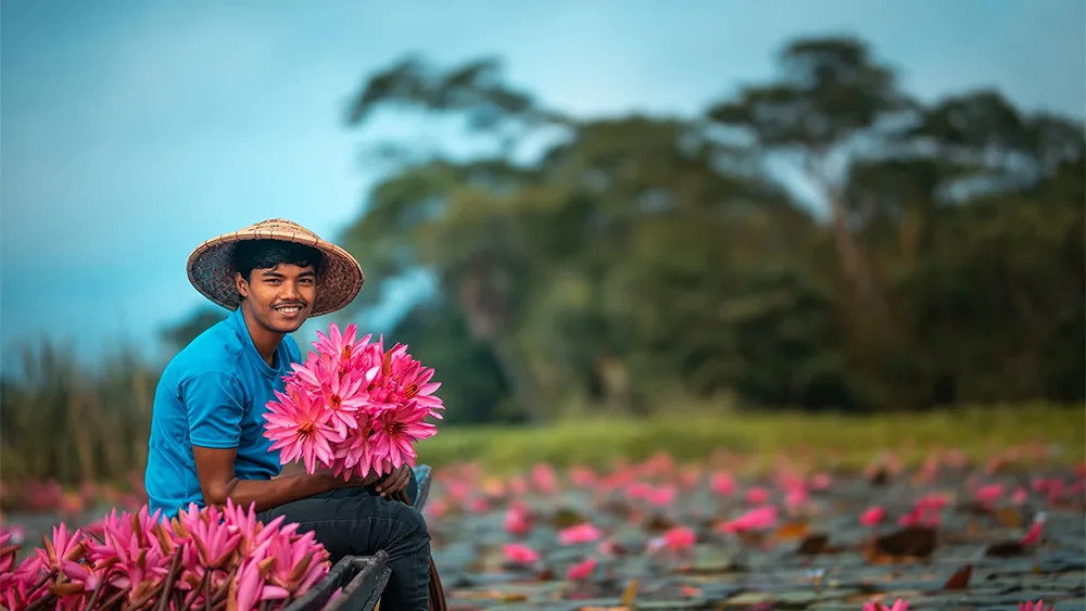 নেত্রকোণার লাল শাপলা বিল