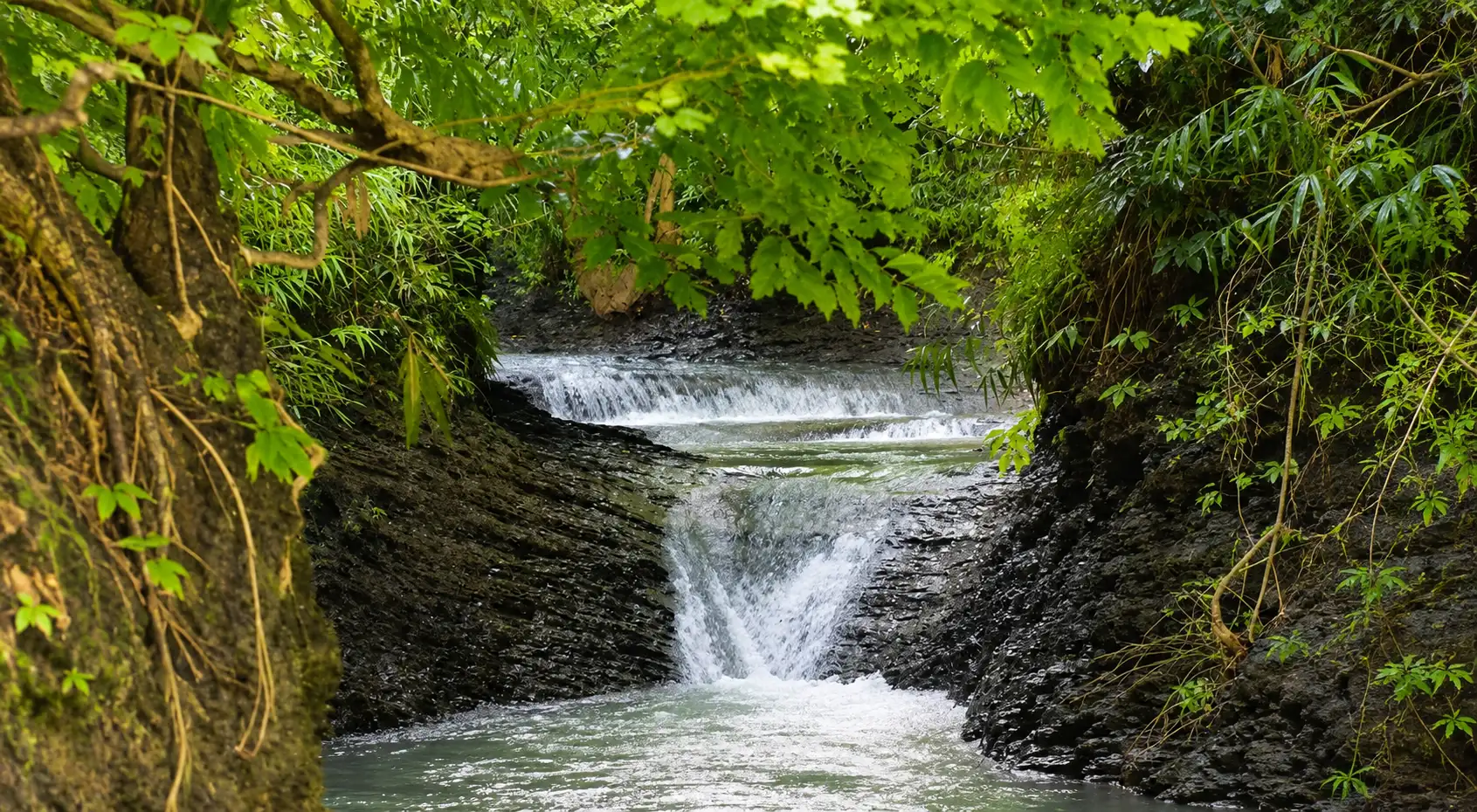 মধুখাইয়া ট্রেইল, সীতাকুণ্ড, চট্টগ্রাম