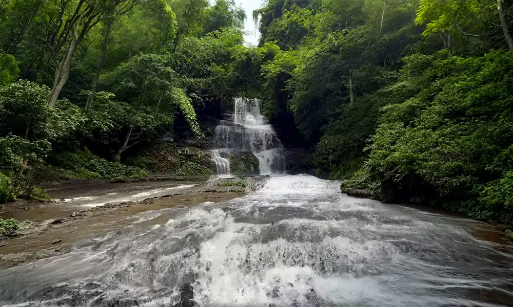 কাইলুভা সাইতার