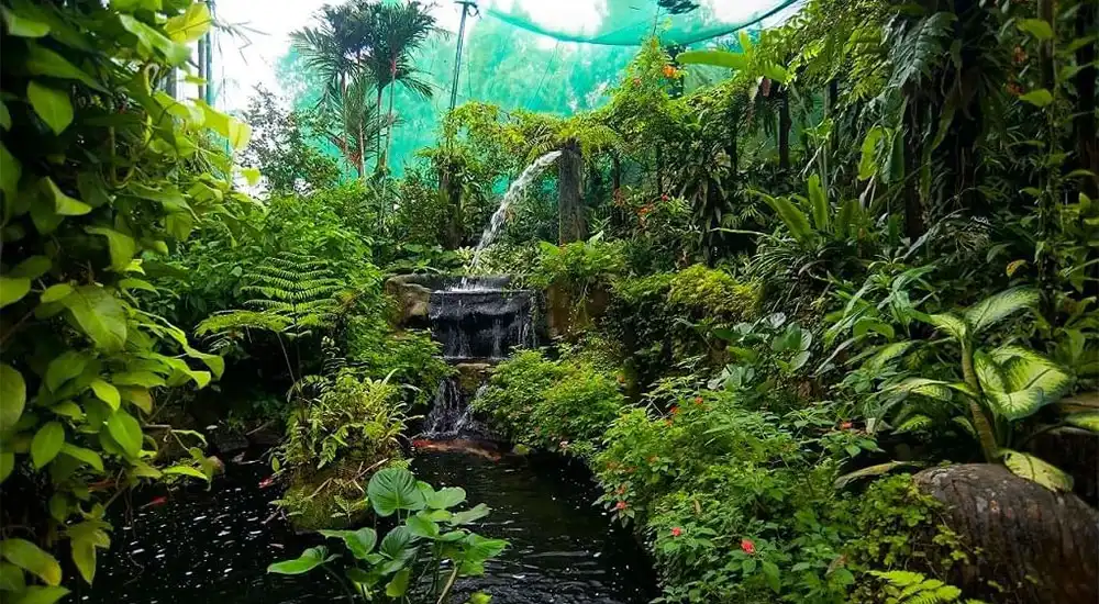 বাটারফ্লাই পার্ক, পতেঙ্গা, চট্টগ্রাম