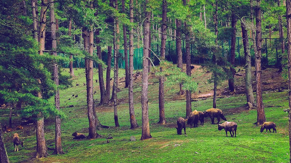 মতিথাং তাকিন সংরক্ষণাগার