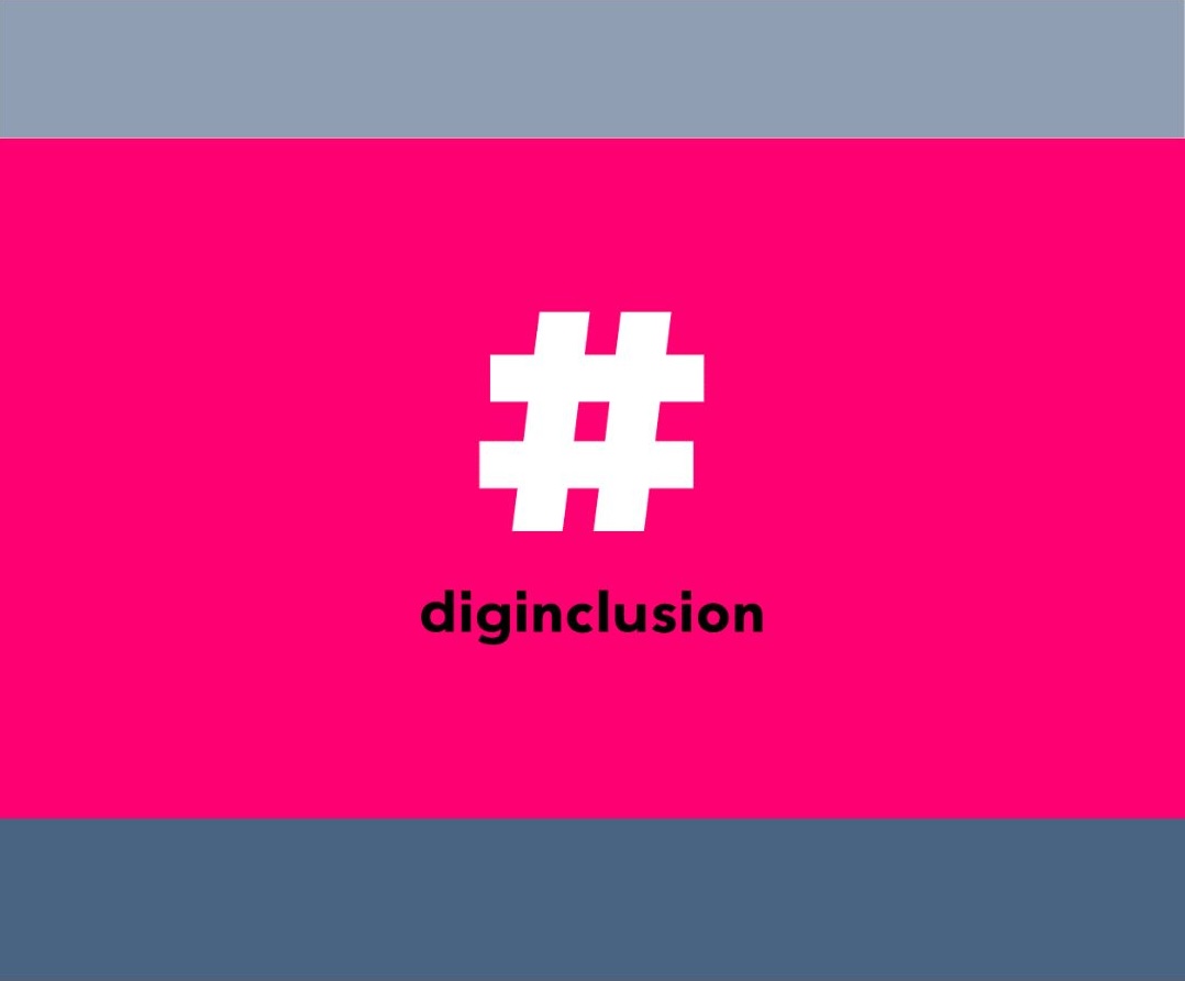 diginclusion