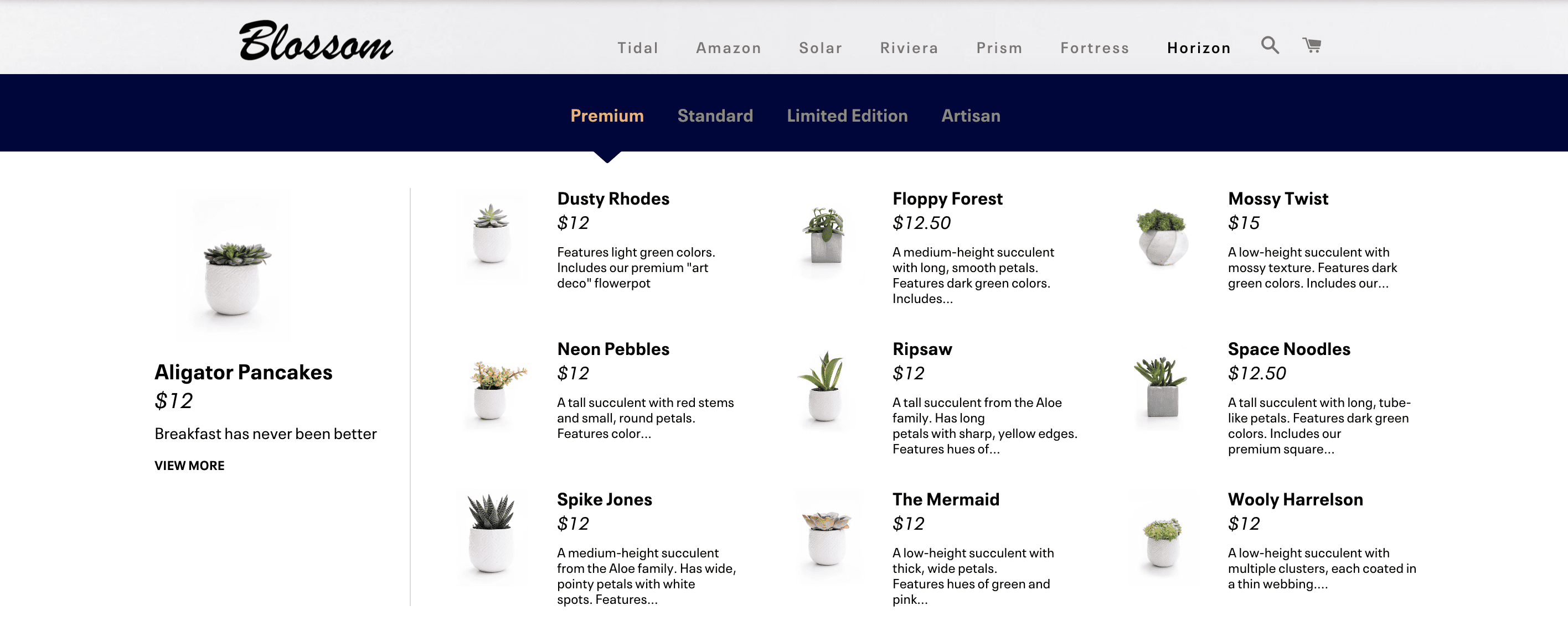 Blossom website displays a grid of potted plants with names, prices, and descriptions.