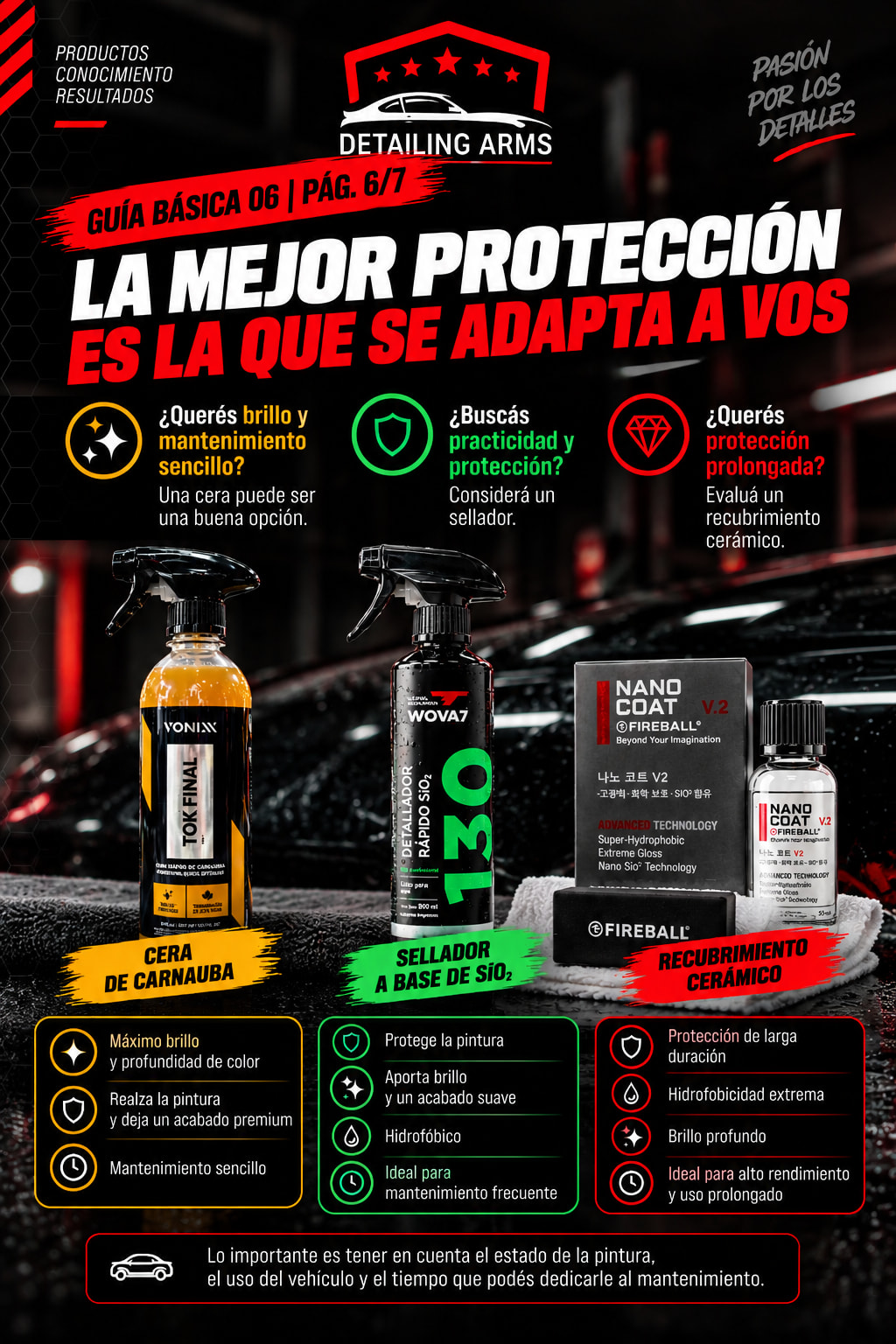 CERAS, SELLADORES Y CERAMICOS. CUAL ELEGIR PARA TU AUTO? — placa 6 de 7