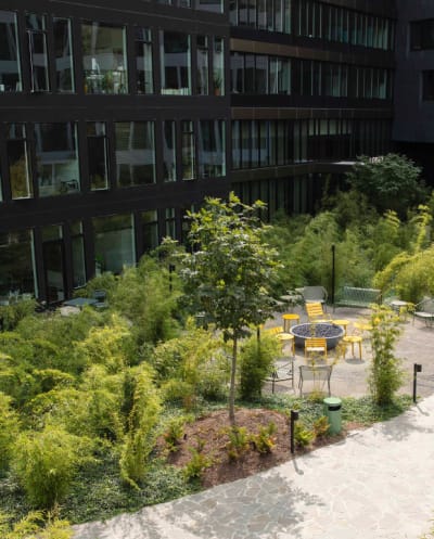 Amenity Image
