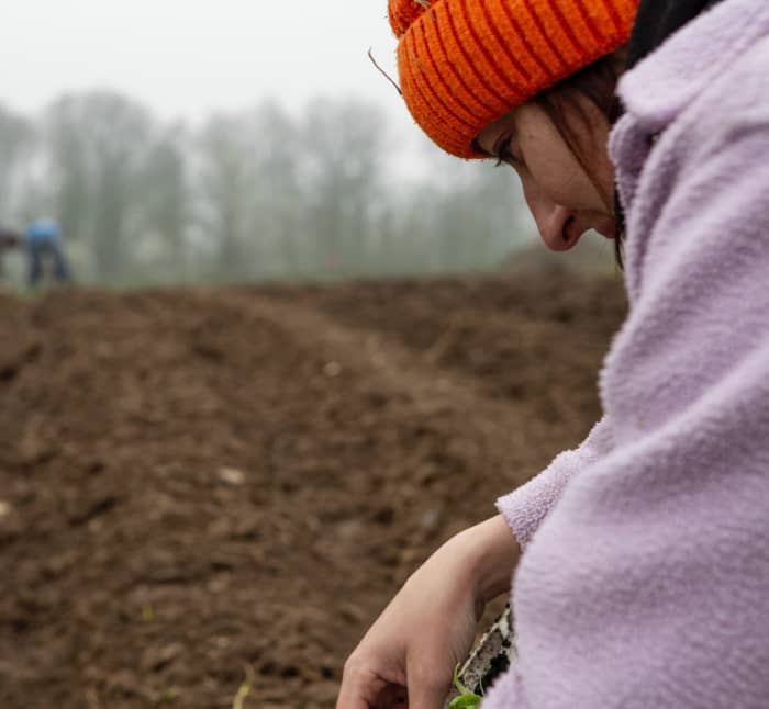 Rejoignez nos cours de spécialisation en maraîchage bio !