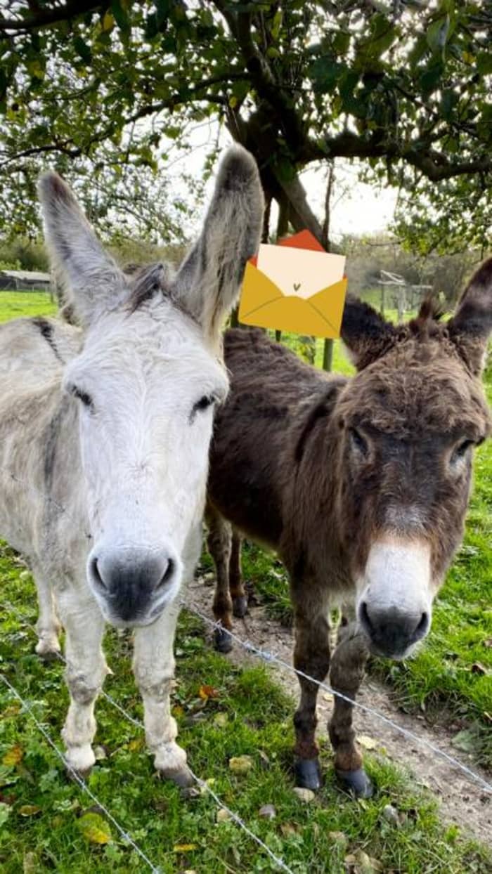 Inscrivez-vous à notre newsletter !