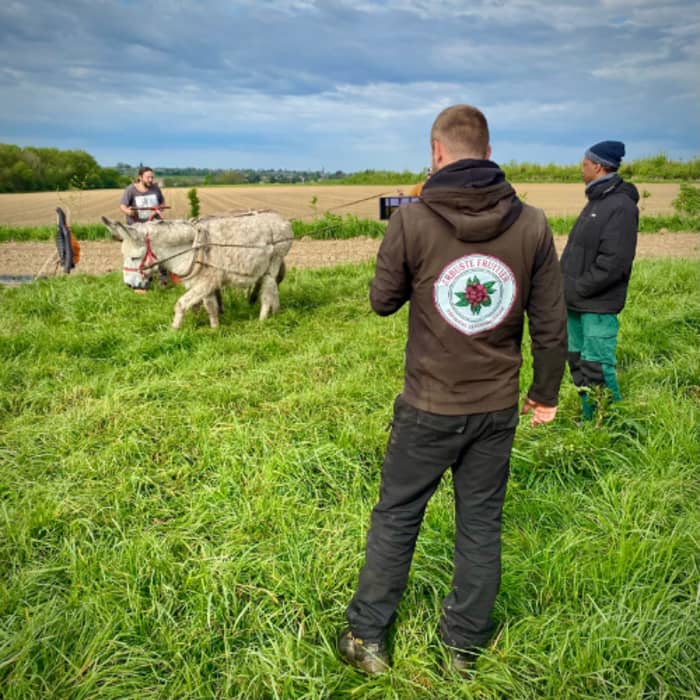 Description de l'image