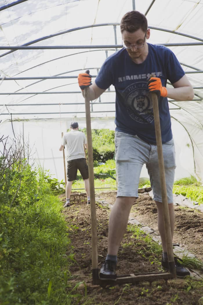 Description de l'image