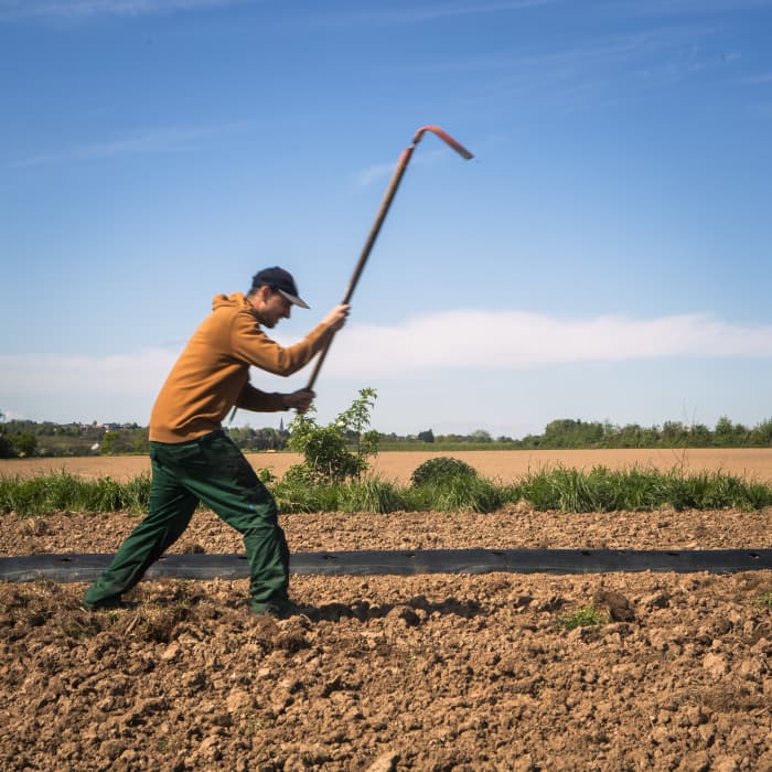 Le printemps au Cyno ☂️