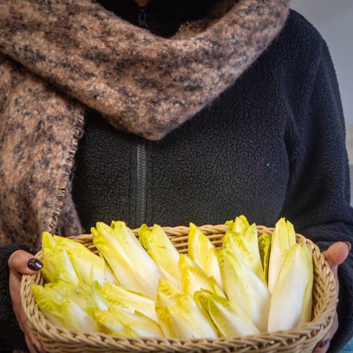 Velouté de chicons au sirop du Cyno 🍐