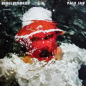 Bewilderment cover art