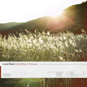 Everything Is Tenuous cover art