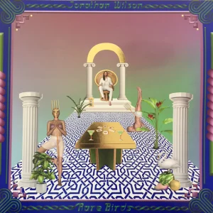 Rare Birds cover art