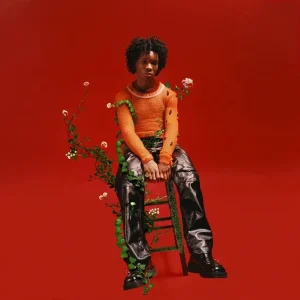 Petals to Thorns cover art