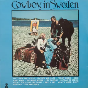 Cowboy In Sweden cover art