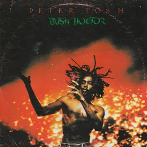 Bush Doctor cover art