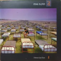 A Momentary Lapse Of Reason cover art