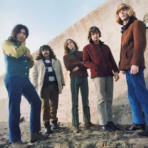 Grateful Dead*