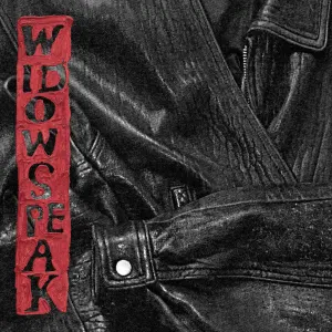 The Jacket cover art
