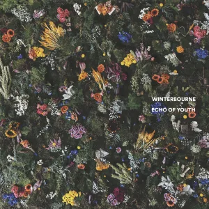 Echo Of Youth cover art