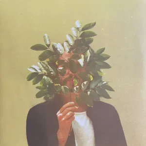 French Kiwi Juice cover art