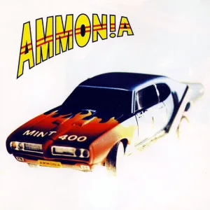 Mint 400 cover art