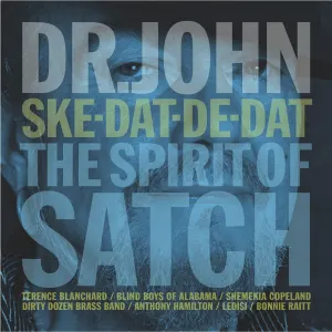 Ske-Dat-De-Dat The Spirit Of Satch cover art