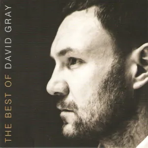 The Best Of David Gray cover art