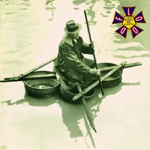 Flood cover art