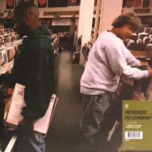 Endtroducing..... cover art