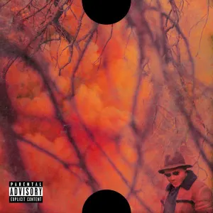 Blank Face LP cover art