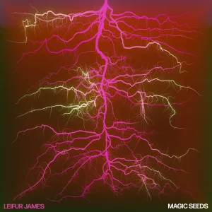 Magic Seeds cover art