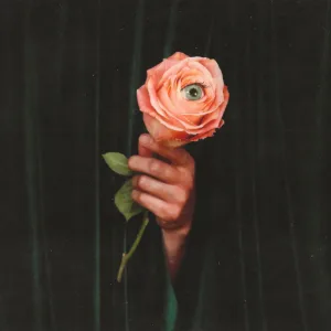 Unusual cover art