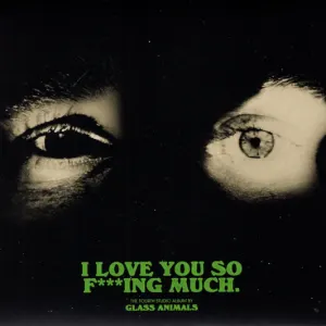 I Love You So F***ing Much. cover art
