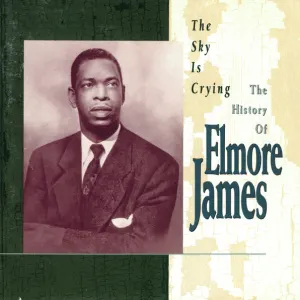 The Sky Is Crying: The History Of Elmore James cover art