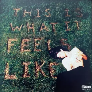 This Is What It Feels Like cover art