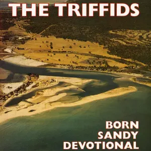 Born Sandy Devotional cover art