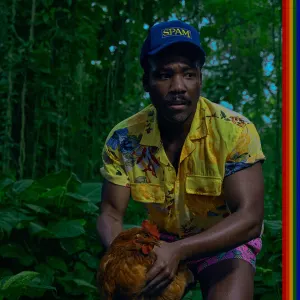 Bando Stone And The New World cover art