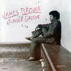 In The Jungle Groove cover art