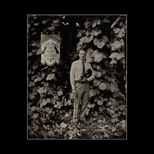 Long Violent History cover art