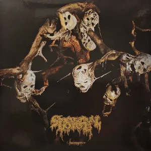 Sparagmos cover art