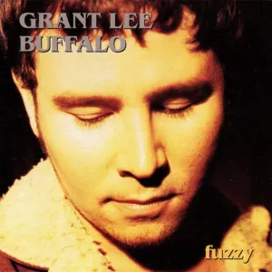 Fuzzy cover art