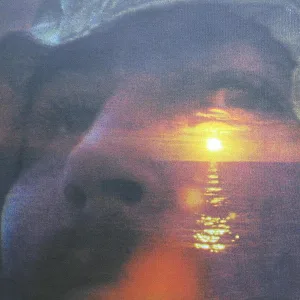 If I Could Only Remember My Name cover art