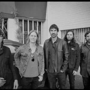 The Volcanics