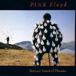 Delicate Sound Of Thunder cover art