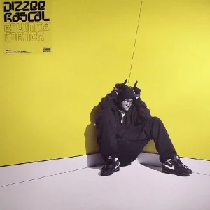 Boy In Da Corner cover art