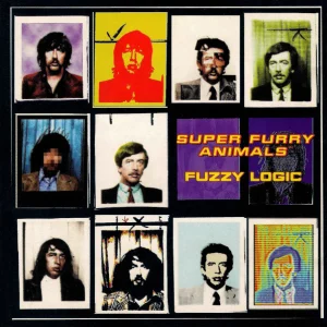 Fuzzy Logic cover art