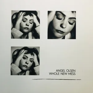 Whole New Mess cover art
