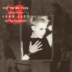 Fit To Be Tied cover art
